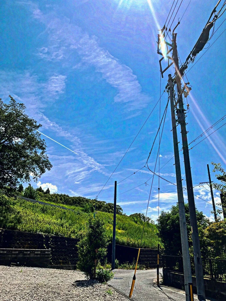 ブログ