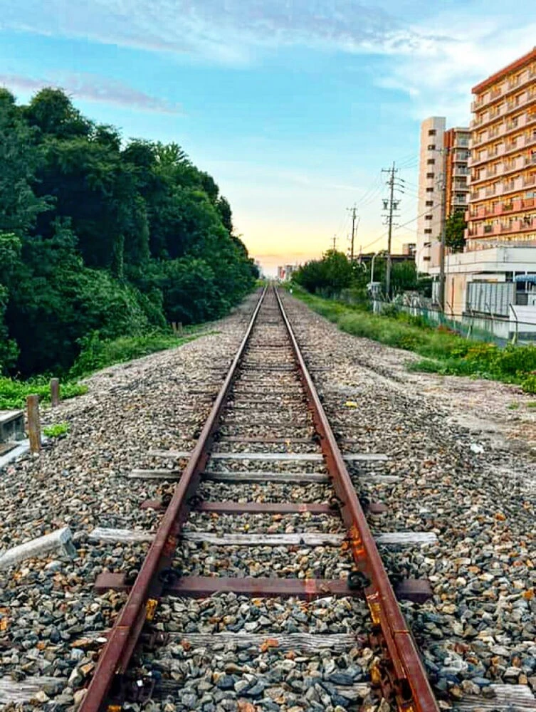 ブログ